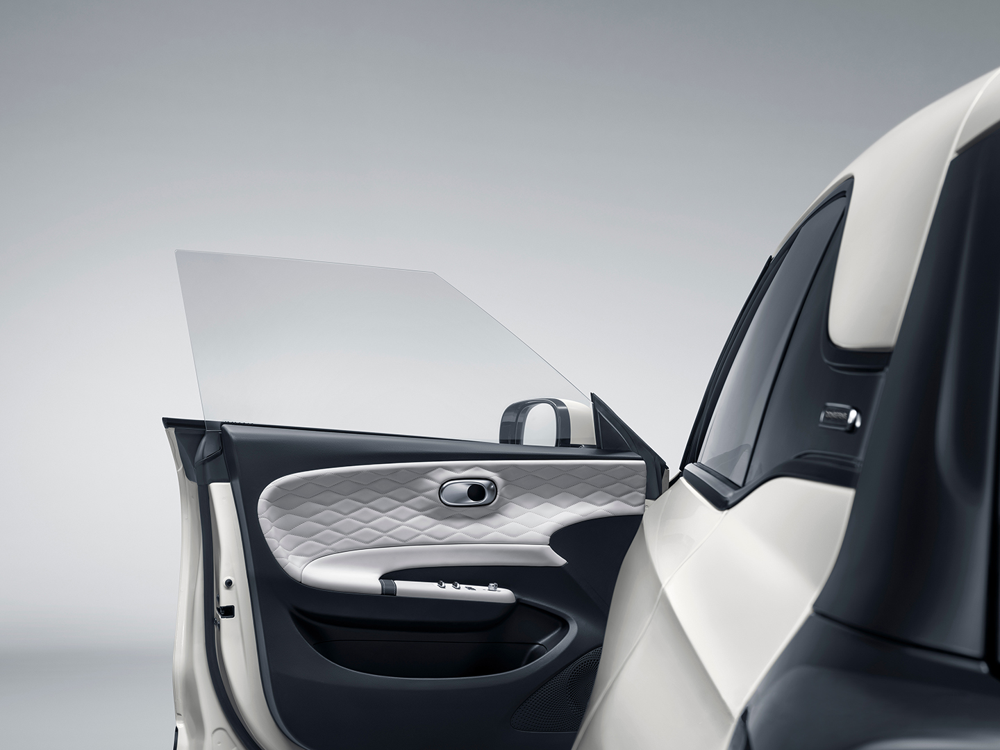 Frameless doors